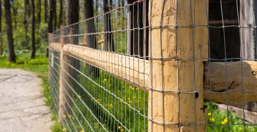 welded-wire-mesh-in-agriculture